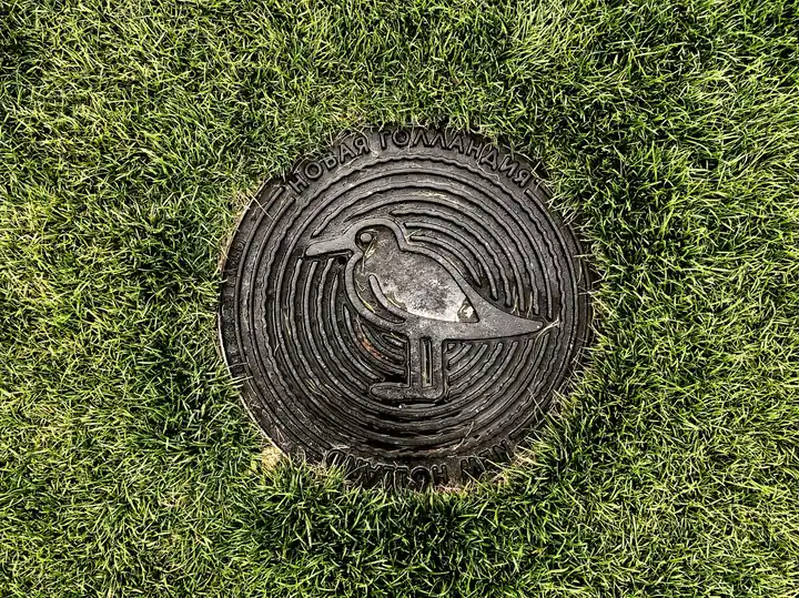 Drain Cleaning
